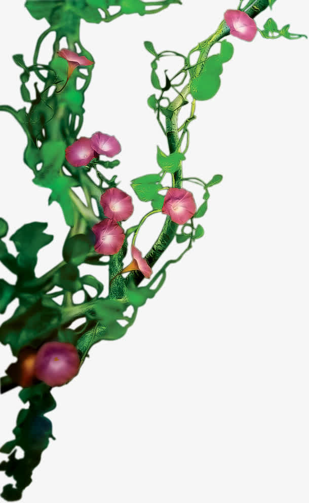 紫色水彩牵牛花造型免抠