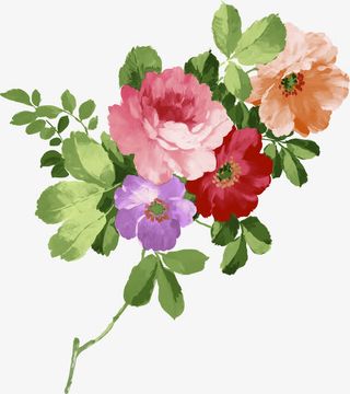 手绘彩色牡丹绿叶装饰免抠