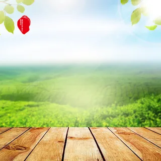 清新绿色茶叶坚果PSD分层主图背景素材高清摄影风景背景 清新绿色茶叶坚果PSD分层主图背景素材高清摄影风景背景