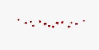 红色花瓣漂浮免抠