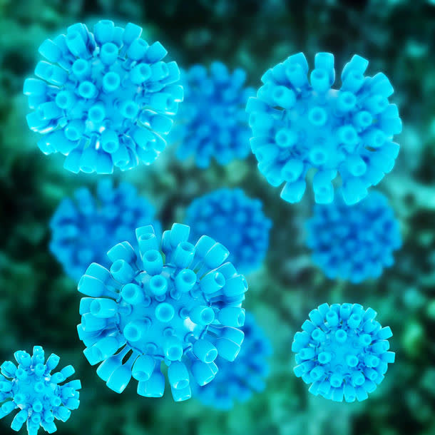 病毒微生物免抠