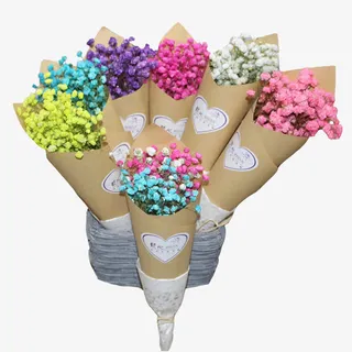 满天星小花束免抠