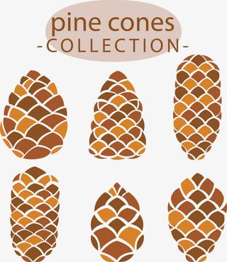 矢量手绘松塔免抠