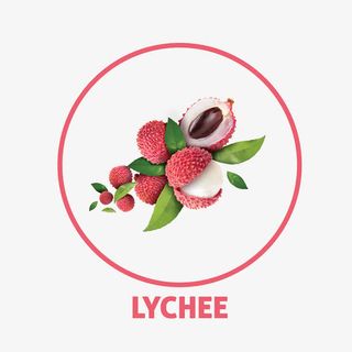 荔枝夏季水果免抠