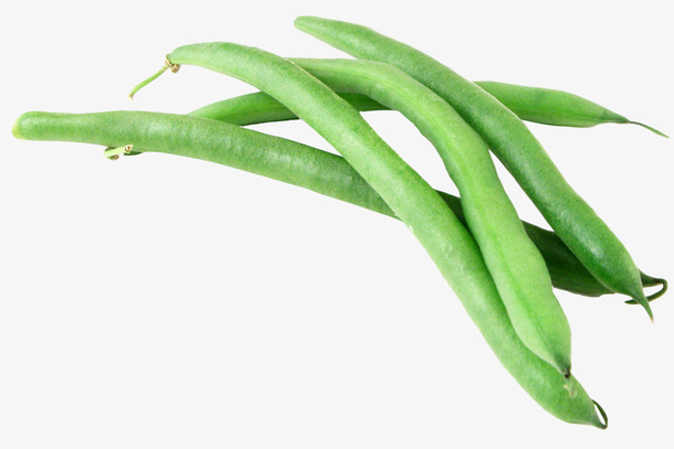 四季豆高清免抠免抠
