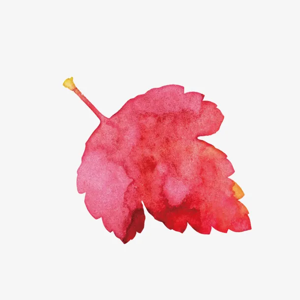 红色水彩枫叶手绘免抠