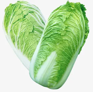 手绘蔬菜手绘图片 大白菜免抠