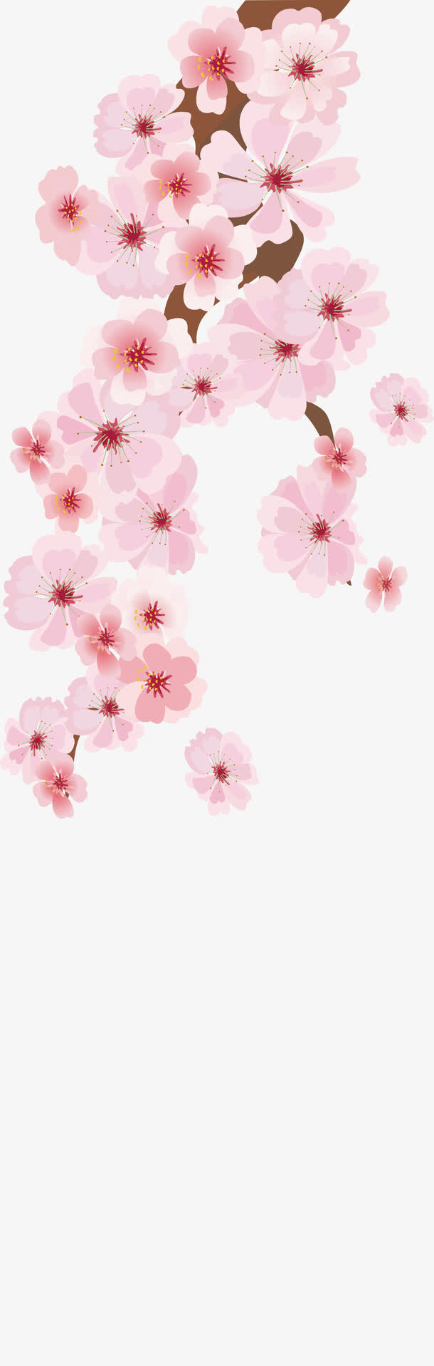 梅花矢量图免抠