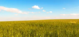 淘宝背景图高清