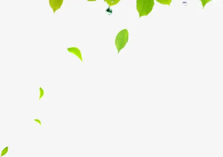 春天树叶漂浮美景设计免抠漂浮叶子元素 春天树叶漂浮美景设计免抠漂浮叶子元素