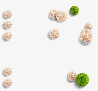 鸟瞰美景花朵景观植物免抠