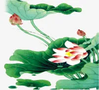 中国风荷花免抠