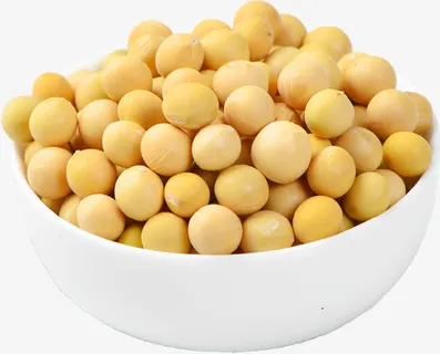大豆实物图免抠