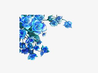 手绘蓝色玫瑰花素材免抠