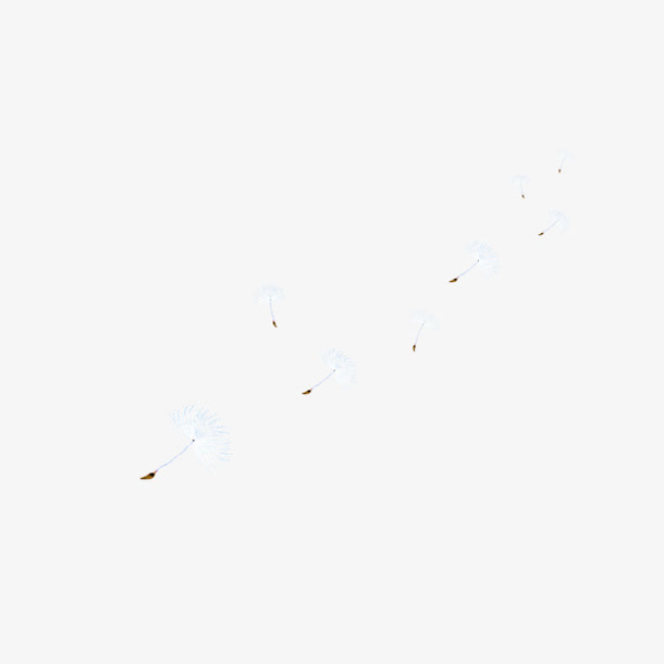 漂浮梦幻白色蒲公英免抠