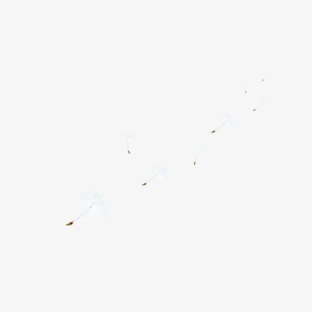 漂浮梦幻白色蒲公英免抠