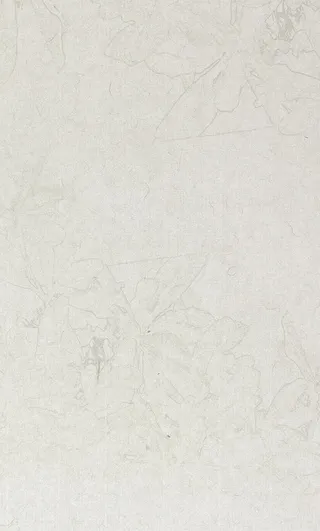 中国风传统浅色亚麻质感装饰背景免抠