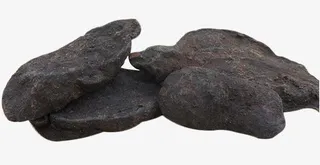 切片何首乌免抠