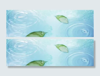 摄影水中的叶子背景高清