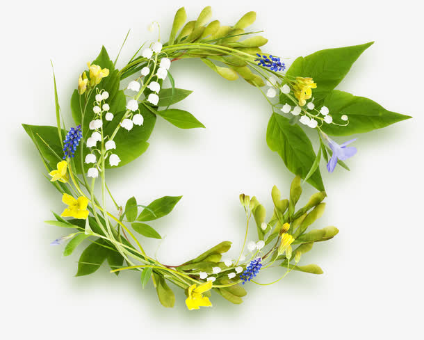 漂亮花叶圆环免抠