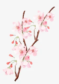 手绘古风清新粉色桃花免抠