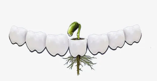 白白的牙齿免抠