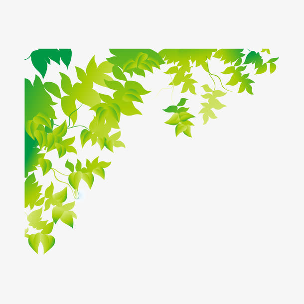 矢量绿叶装饰素材免抠
