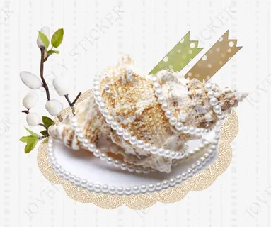 珍珠海螺免抠