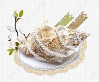 珍珠海螺免抠