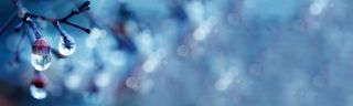 冬季唯美树枝水滴背景banner高清