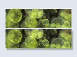 唯美淘宝女装护肤品banner背景