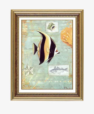 挂画小丑鱼免抠