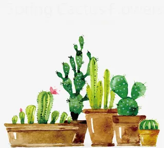 春天植物仙人掌饰品免抠