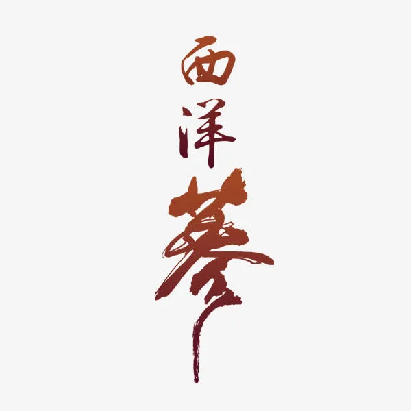 西洋参文字免抠