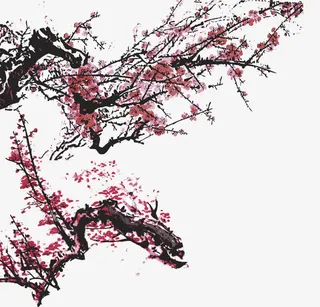 梅花矢量素材免抠