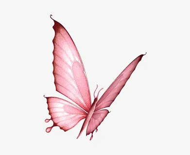 粉色蝴蝶免抠 粉色蝴蝶免抠