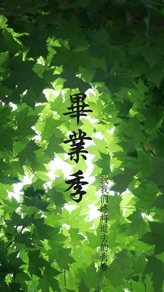 毕业季绿色H5背景高清