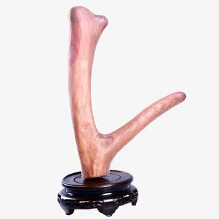 鹿茸入药泡酒送礼新鲜鹿茸免抠