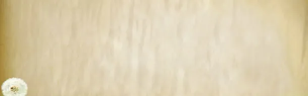 旧墙壁爬山虎草地花免抠