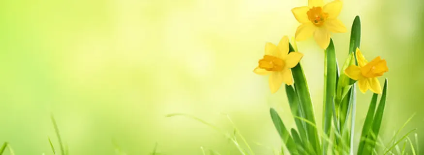 PNG促销海报淘宝广告banner轮播