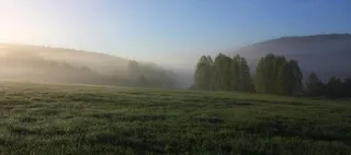 雾气朦胧草地林海背景高清