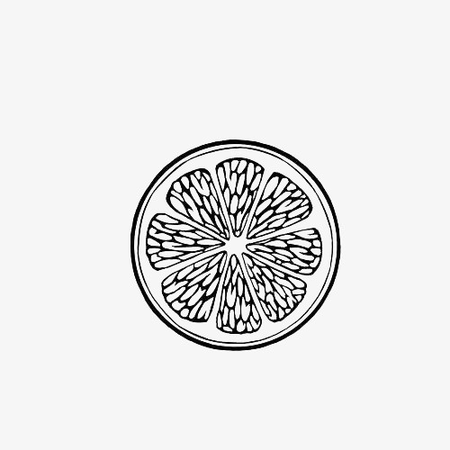 手绘柠檬片柠檬简笔画免抠