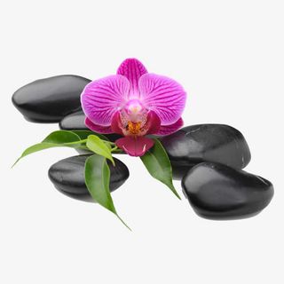 花瓣躺在石头上免抠