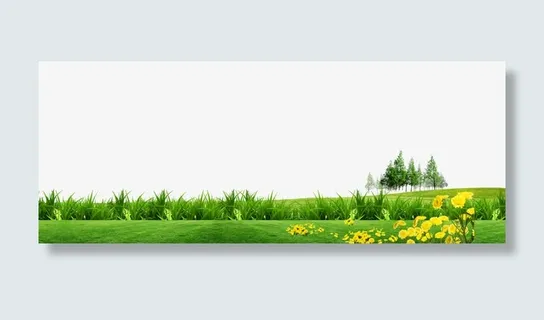 海报背景素材免抠