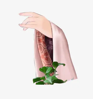 古风美女手臂免抠