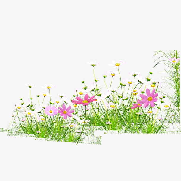 花朵 草 春天 花开免抠
