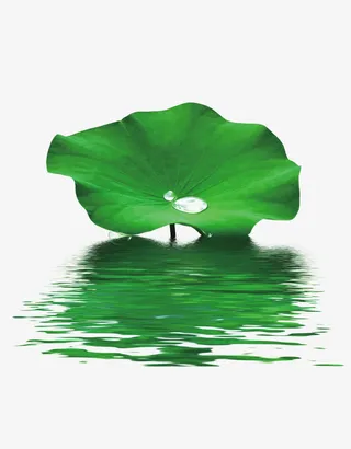 中国风海报图片免抠