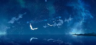 夜空下飞翔的鸟高清