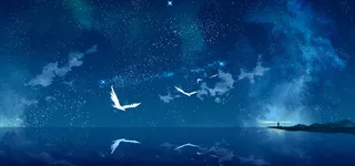 夜空下飞翔的鸟高清