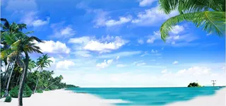 海滩美景高清